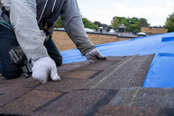 Roof Installation Near Me in Winchester, VA